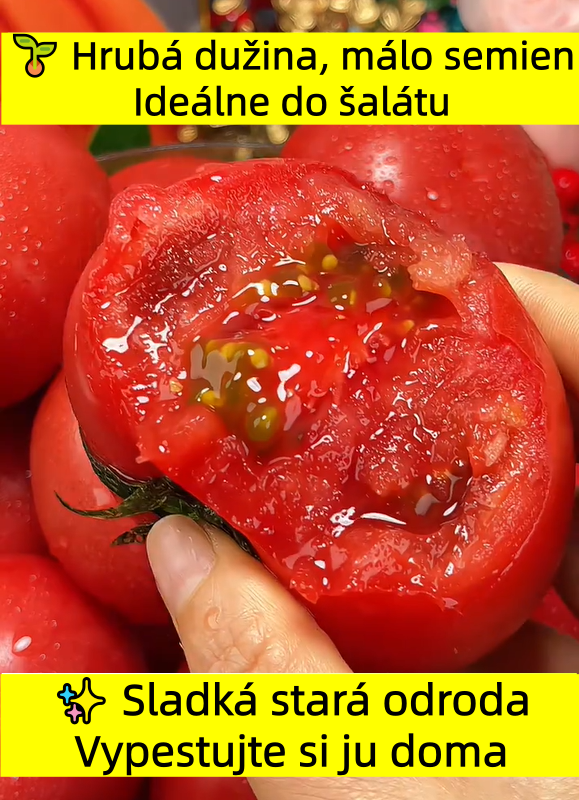 🍅 Dedičné paradajky so šťavnatou jemne zrnitou dužinou — chuť leta ako kedysi 🌿