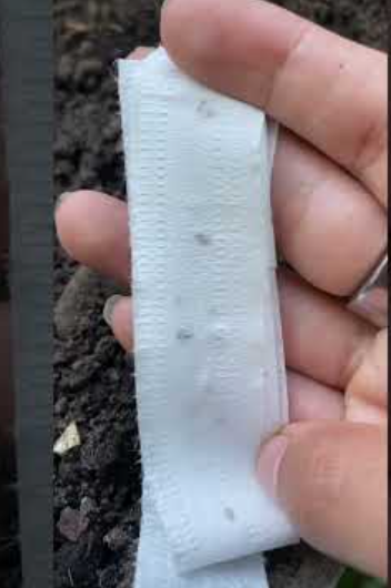 🌱Páska na semienka Tactodirecto™