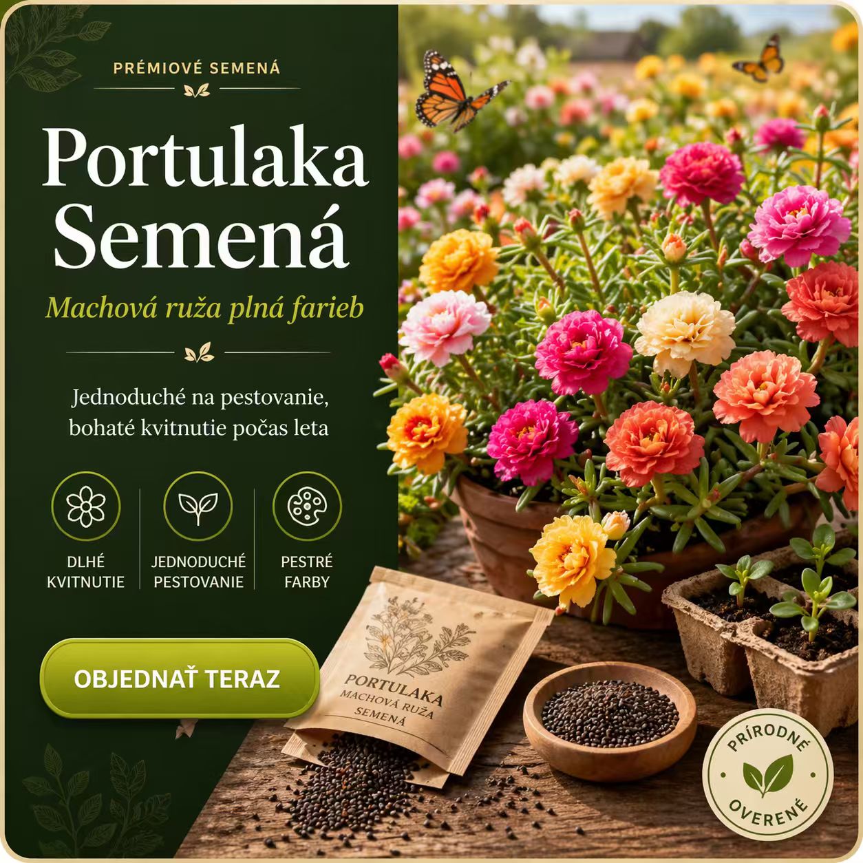 🌸 Semienka portulaky (machovej ruže) – 🌿 semienka trvácich kvetov / veľké kvety / jednoduché na pestovanie(50 tabliet/balenie)