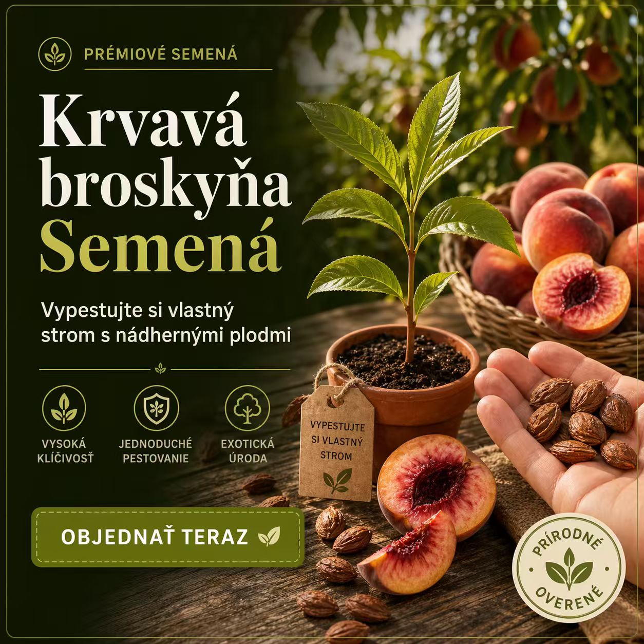 Semená krvavej broskyne 🏡 – Chuť slnka ako leto z 50. rokov minulého storočia! 🌟(10 tabliet/balenie)