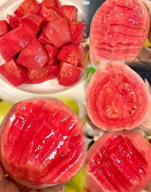 🌳【Król witaminy C! Dwa rodzaje nasion guawy, odkryj dwie słodycze na raz】🌳