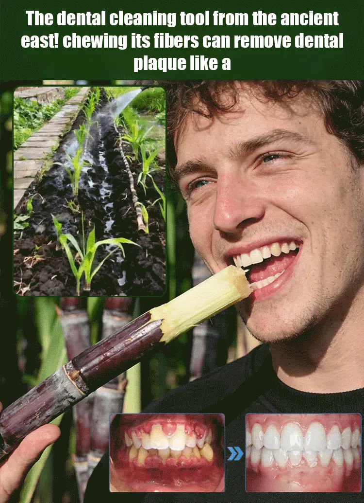 Přírodní energetická tyčinka s obrovskými semínky cukrové třtiny 🌾🍫