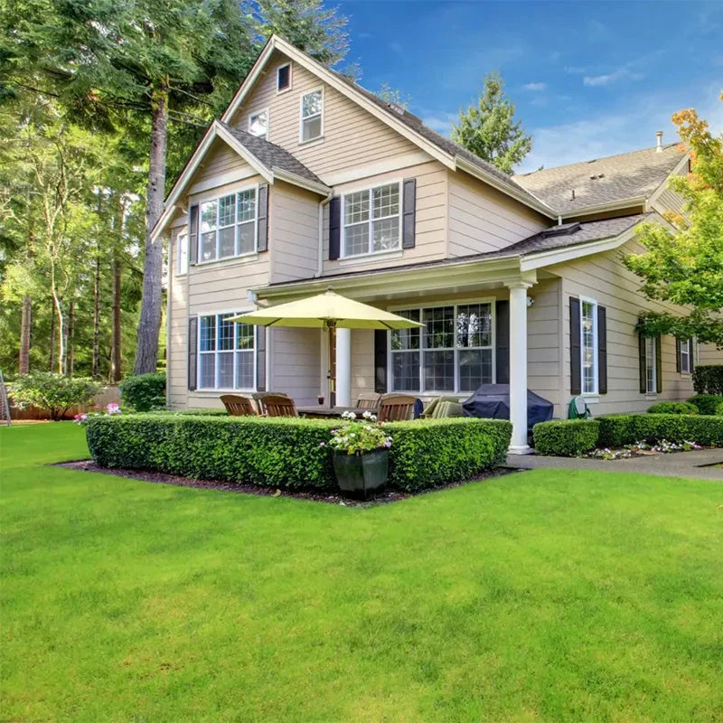 Semena trpasličí stálezelené trávy Four Seasons 🌱