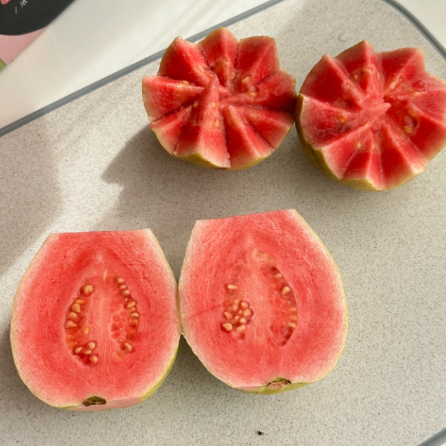 🍓 Tropická jahodová guava – organická semena růžové guavy