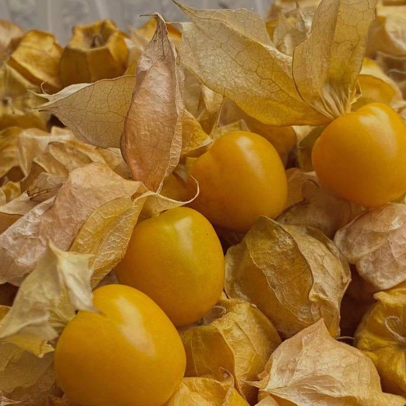 Semena krémové dívčího ovoce