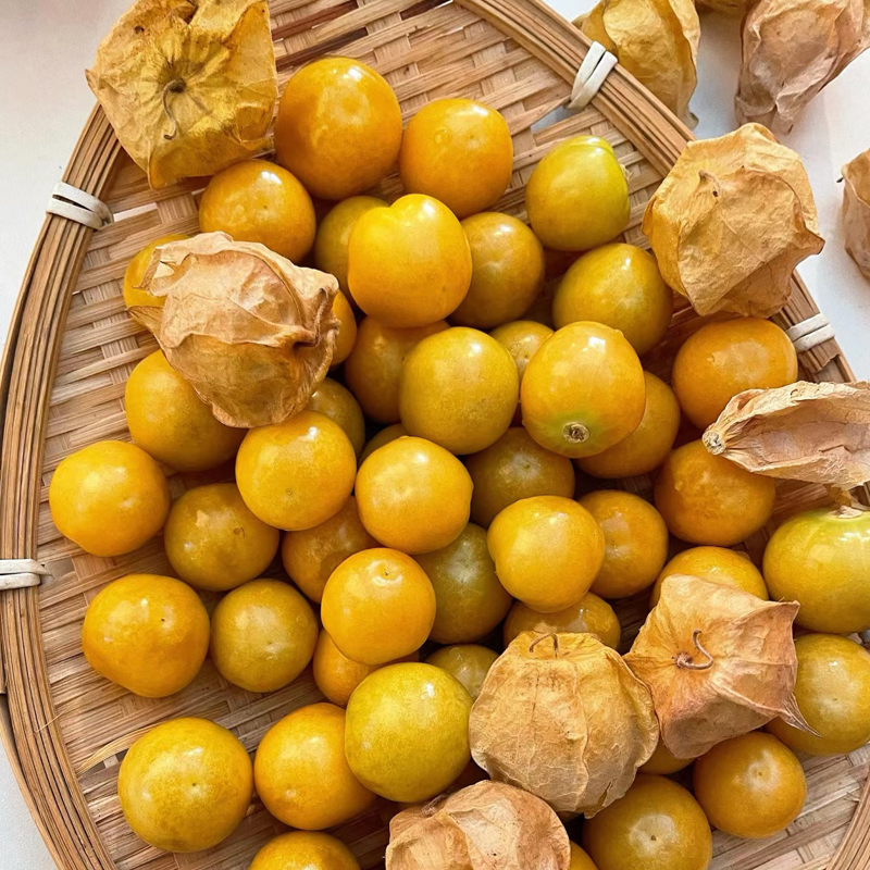 Semena krémové dívčího ovoce