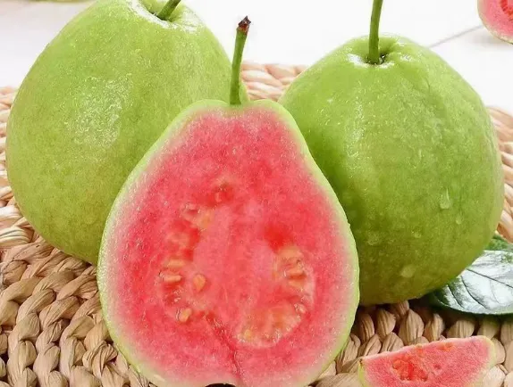 🍈 Semena červené guavy (červené srdce) 🌿