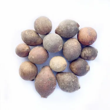 🍈 Semena červené guavy (červené srdce) 🌿