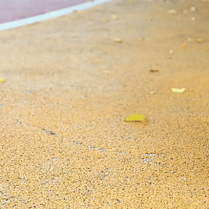 Buty męskie i damskie