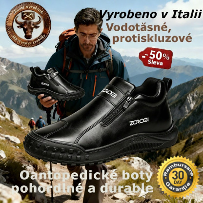 Pantofi bărbătești