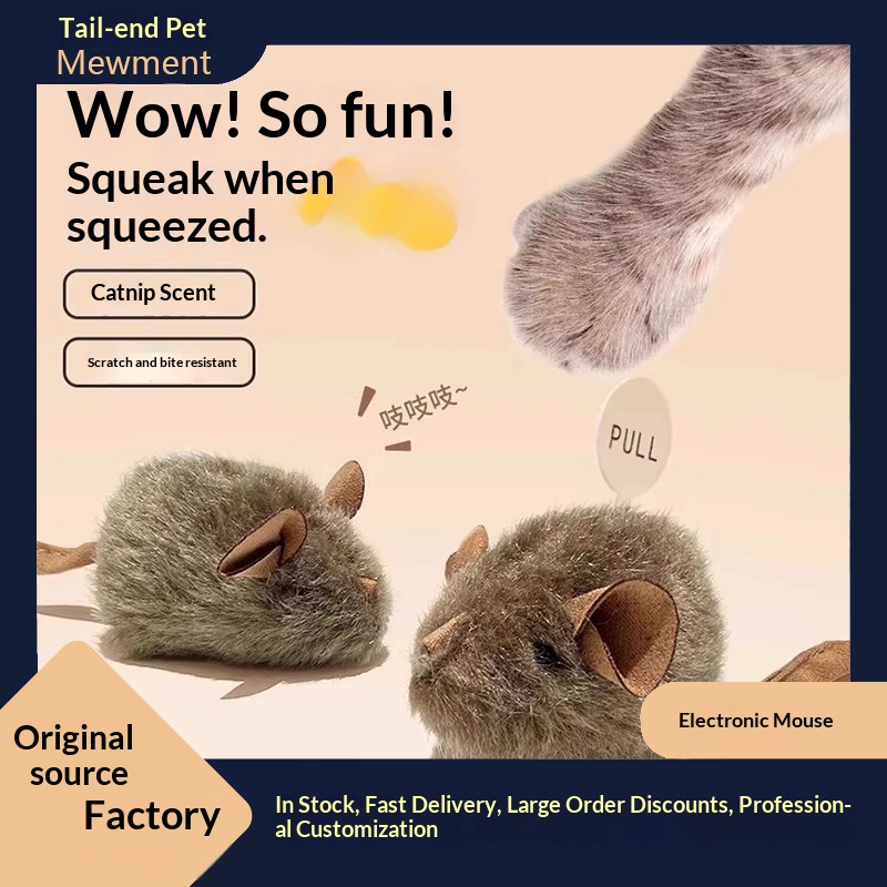 Squeaky Mouse Toy