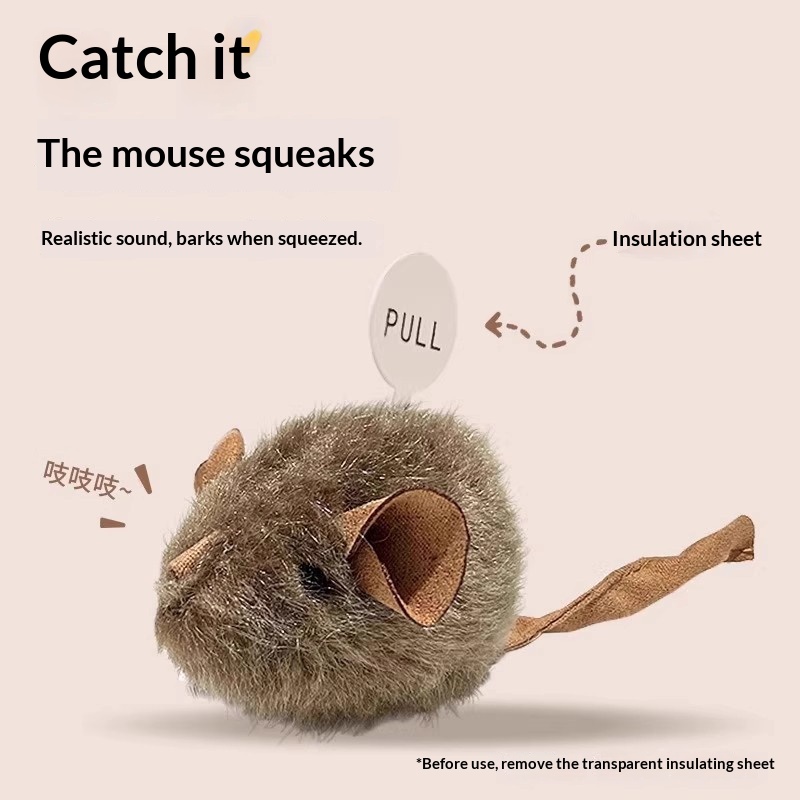 Squeaky Mouse Toy