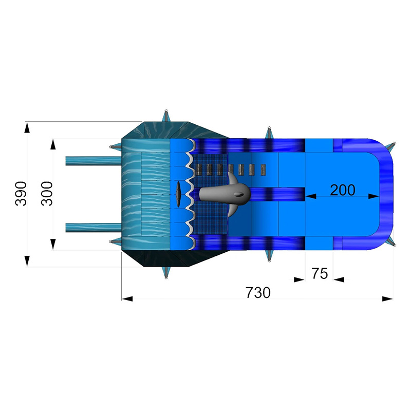 Dolphin Double Inflatable Water Slide