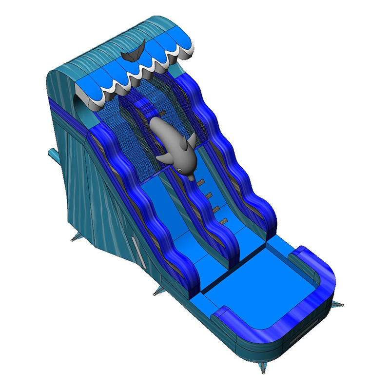 Dolphin Double Inflatable Water Slide