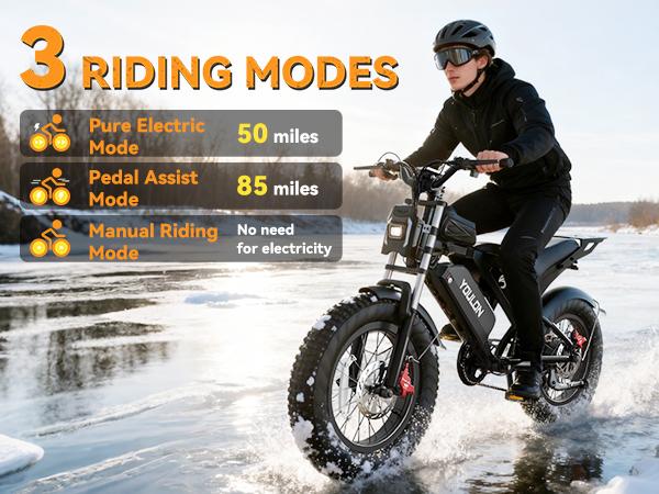 YOULON Electric Bike for Adults 1500W Peak 20" Fat Tire All-Terrain E-Bike 30 MPH Electric Dirt Bike for Road Sand Mountain Snow - 48V 20 AH Battery Powered Electric Motorcycle, Full Suspension E Bike