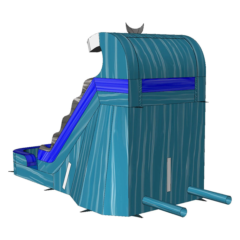 Dolphin Double Inflatable Water Slide