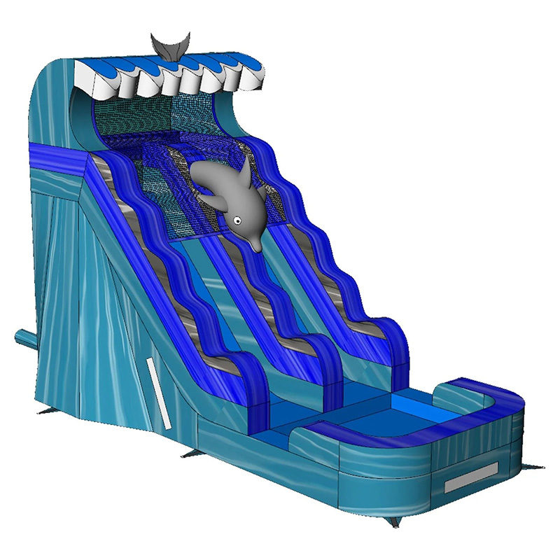 Dolphin Double Inflatable Water Slide