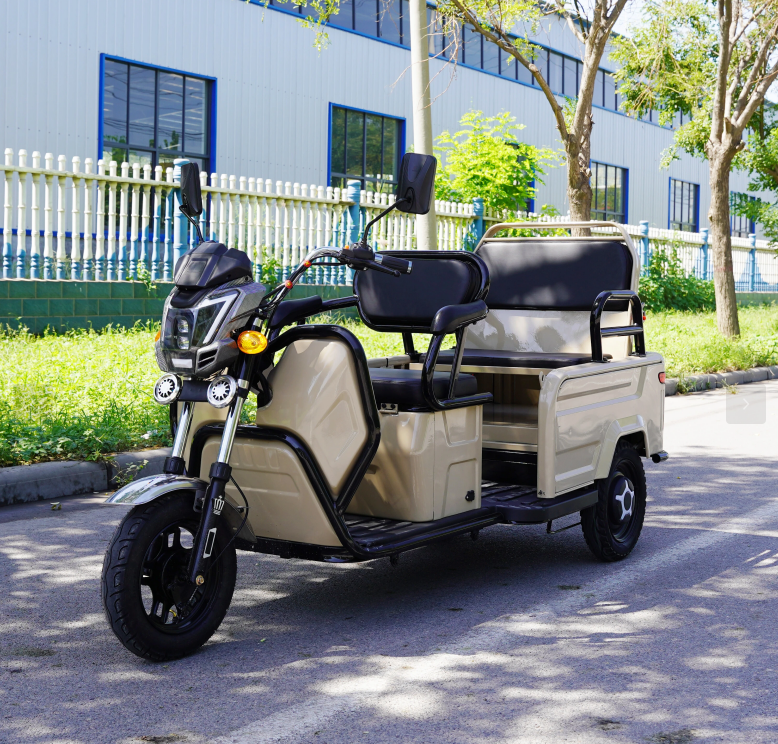 Foldable Dual-Purpose Tricycle