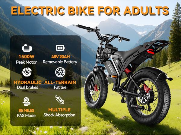 YOULON Electric Bike for Adults 1500W Peak 20" Fat Tire All-Terrain E-Bike 30 MPH Electric Dirt Bike for Road Sand Mountain Snow - 48V 20 AH Battery Powered Electric Motorcycle, Full Suspension E Bike