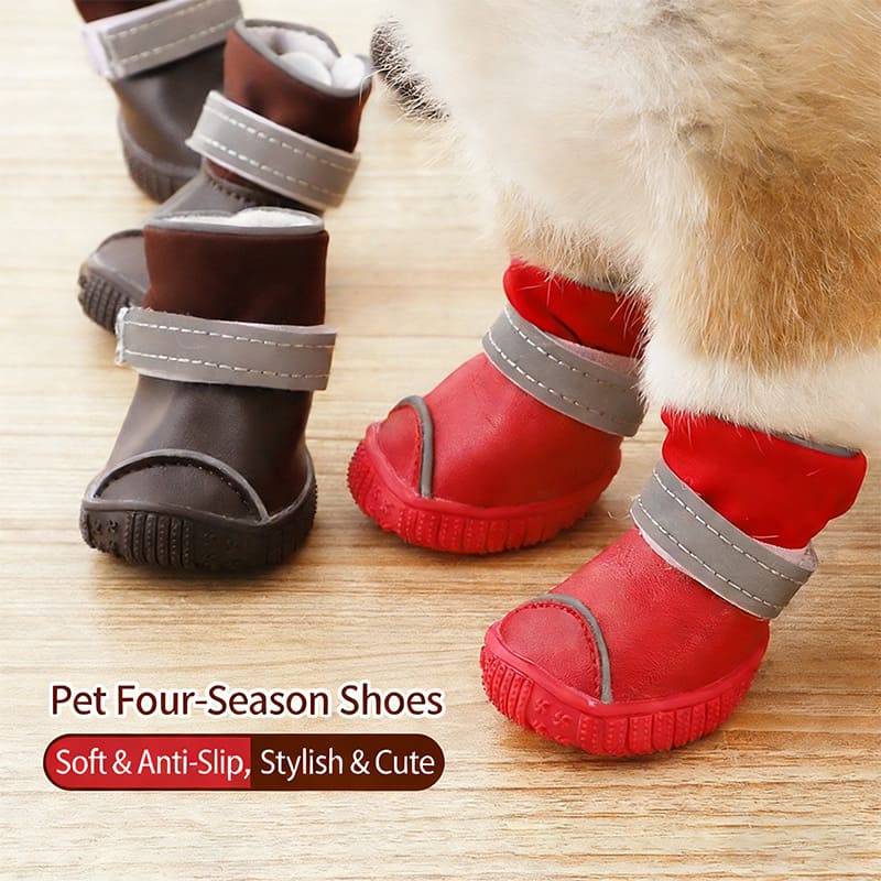 puppy pet shoes