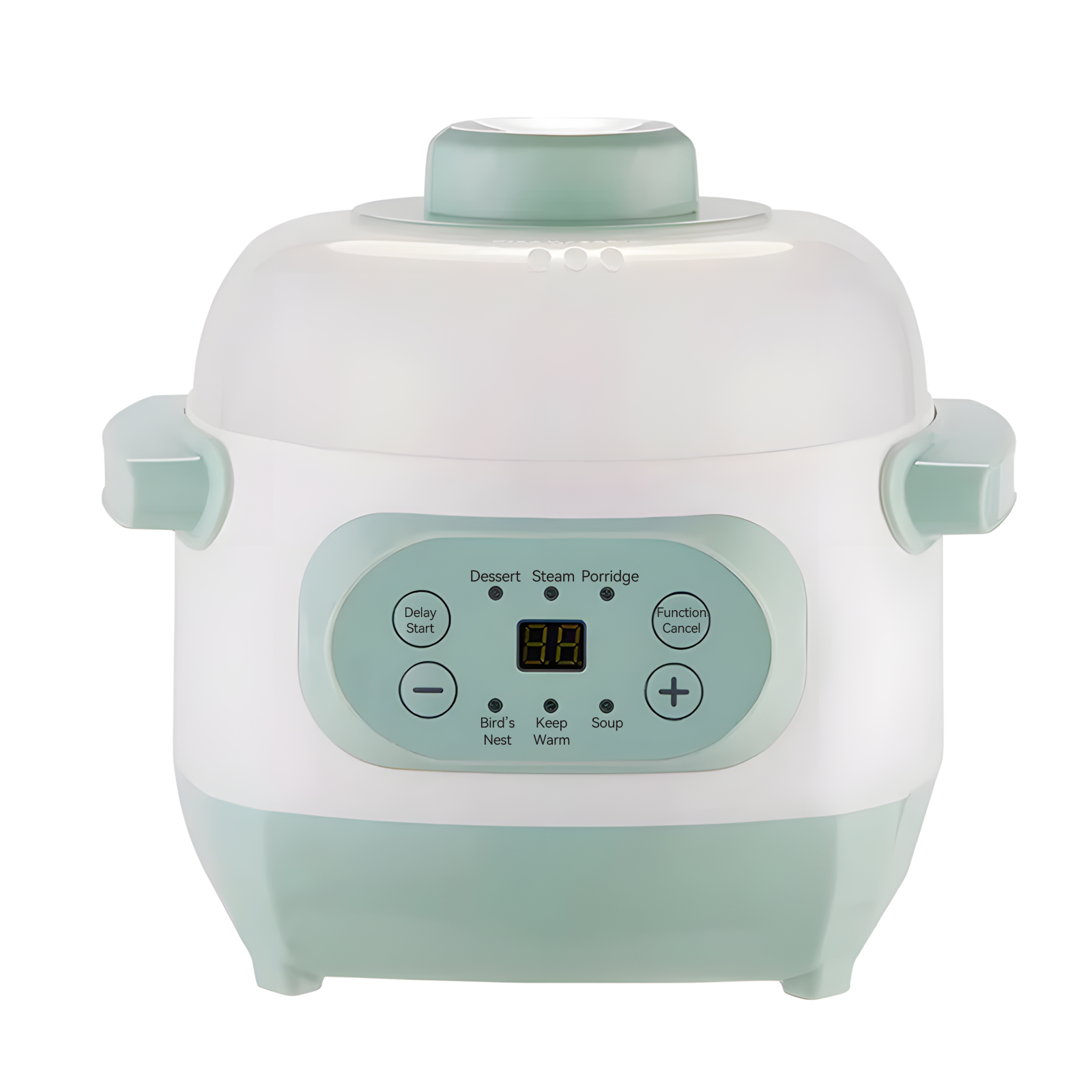 Nodea Electric Stewar Pot