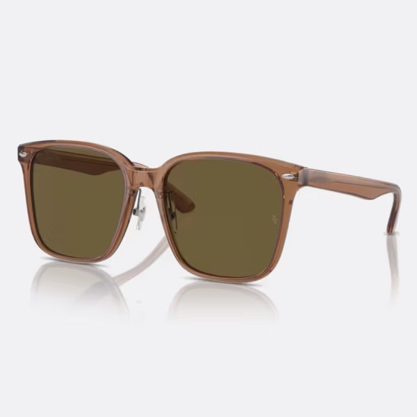 RB2206D-663673 Plastic-framed Sunglasses