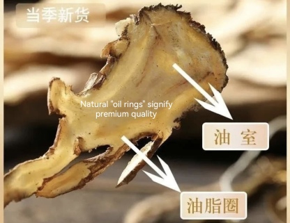 Premium Dang Gui Slices (Angelica Sinensis Root) - Chinese Herbal Supplement