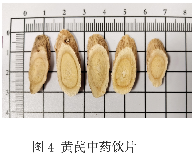 Min County Astragalus Slices (Huang Qi) – Energy & Vitality Support