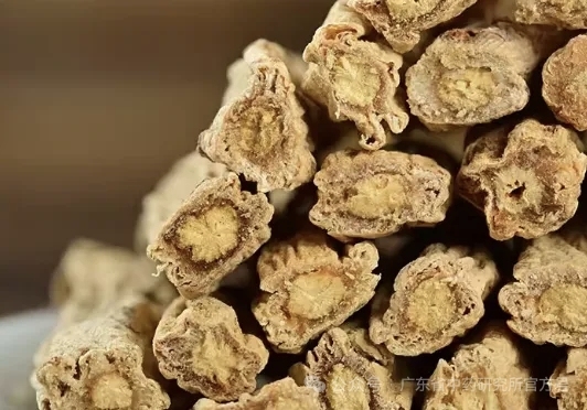 Codonopsis（Dang Shen）