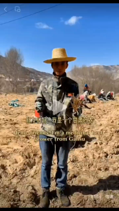 Min County Astragalus Slices (Huang Qi) – Energy & Vitality Support