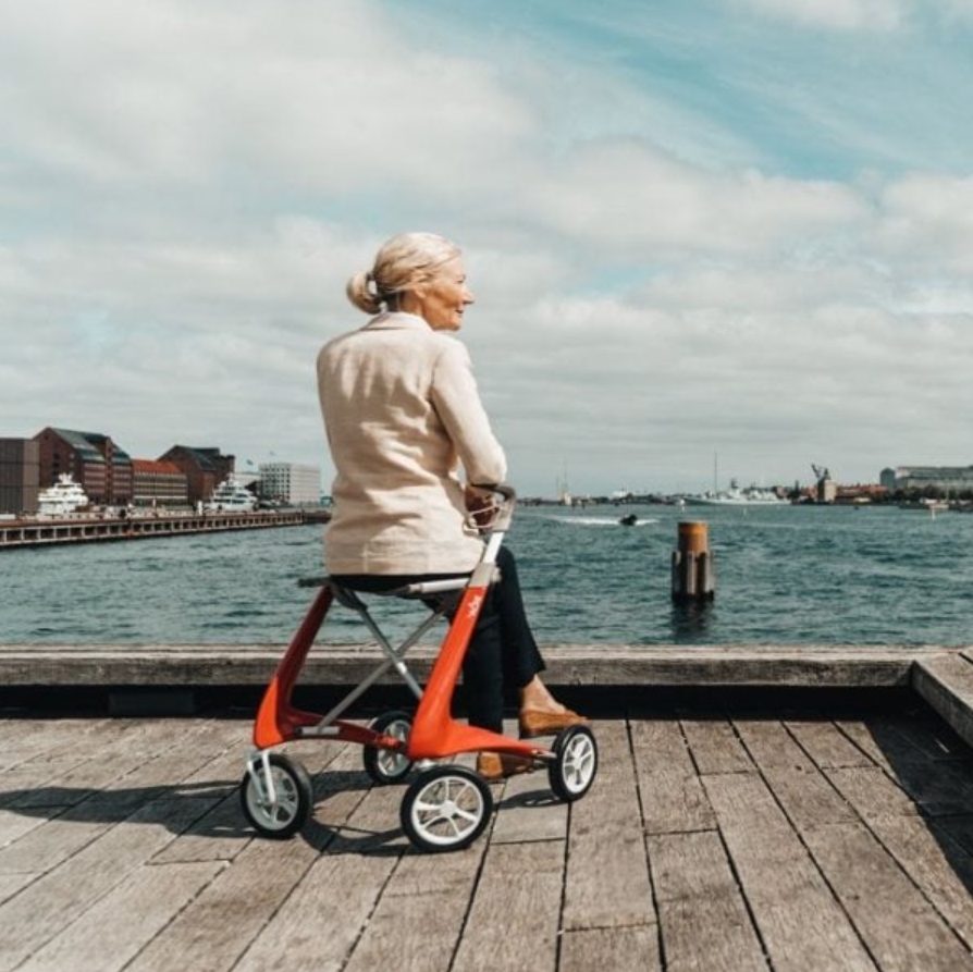 CLEARANCE SALE🎉 Carbon Ultralight Mobility Walker