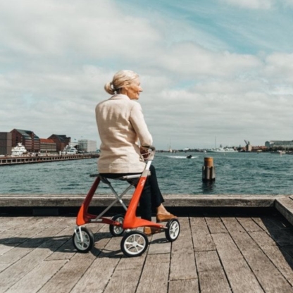 CLEARANCE SALE🎉 Carbon Ultralight Mobility Walker