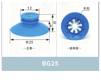 BG25 Cup Lip Only | clean product image