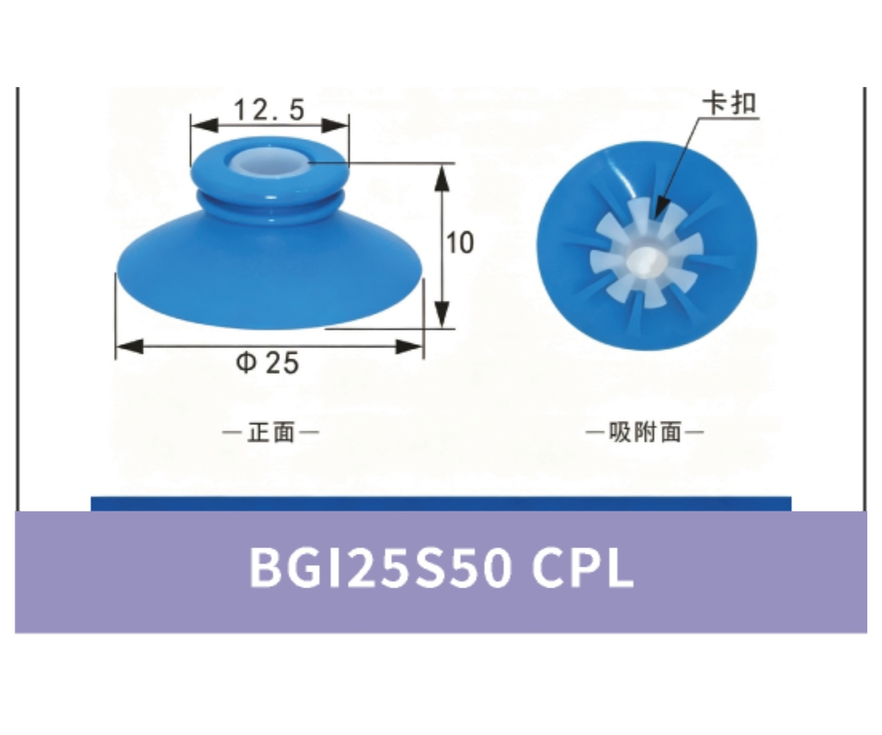 BGI25S50 CPL. Cup Lip Only | 4942379957299 | cleaned product image