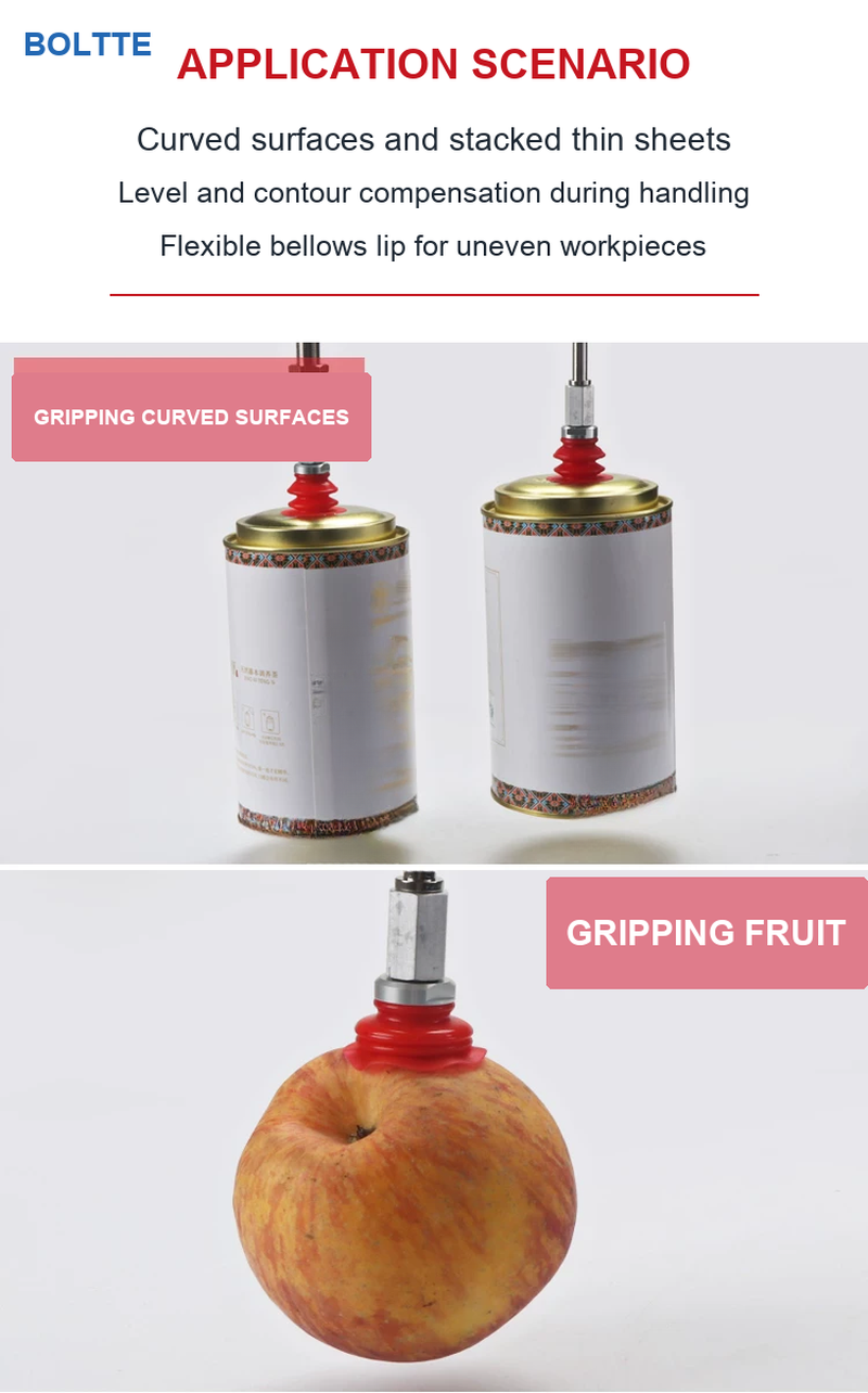 BOLTTE VBU application scenario: curved surfaces, stacked sheets and fruit handling