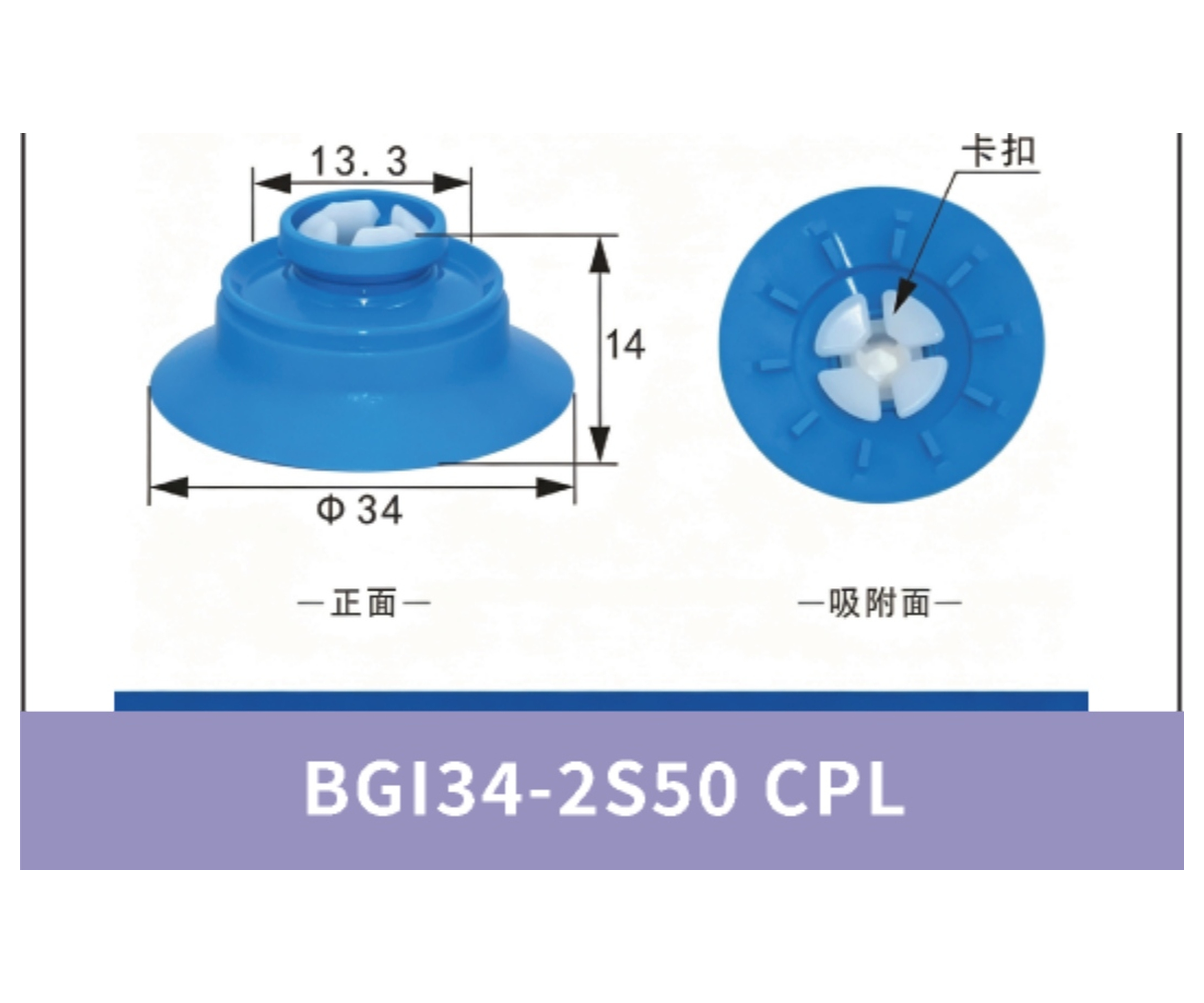 BGI34-2S50 CPL. Cup Lip Only | 4942379957295 | cleaned product image