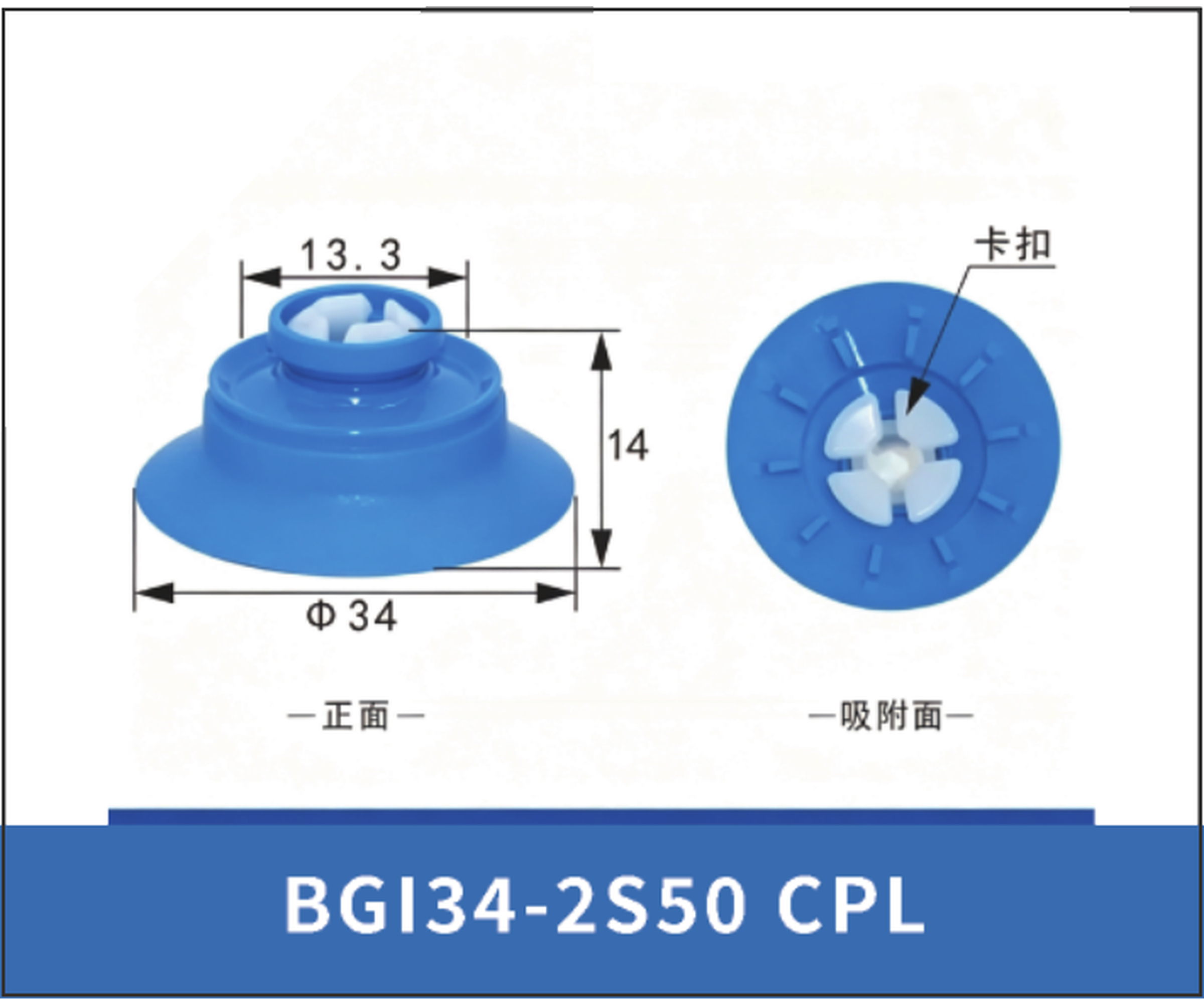 BGI34-2S50 CPL. Cup Lip Only | 5099603367741 | clean PDF product card