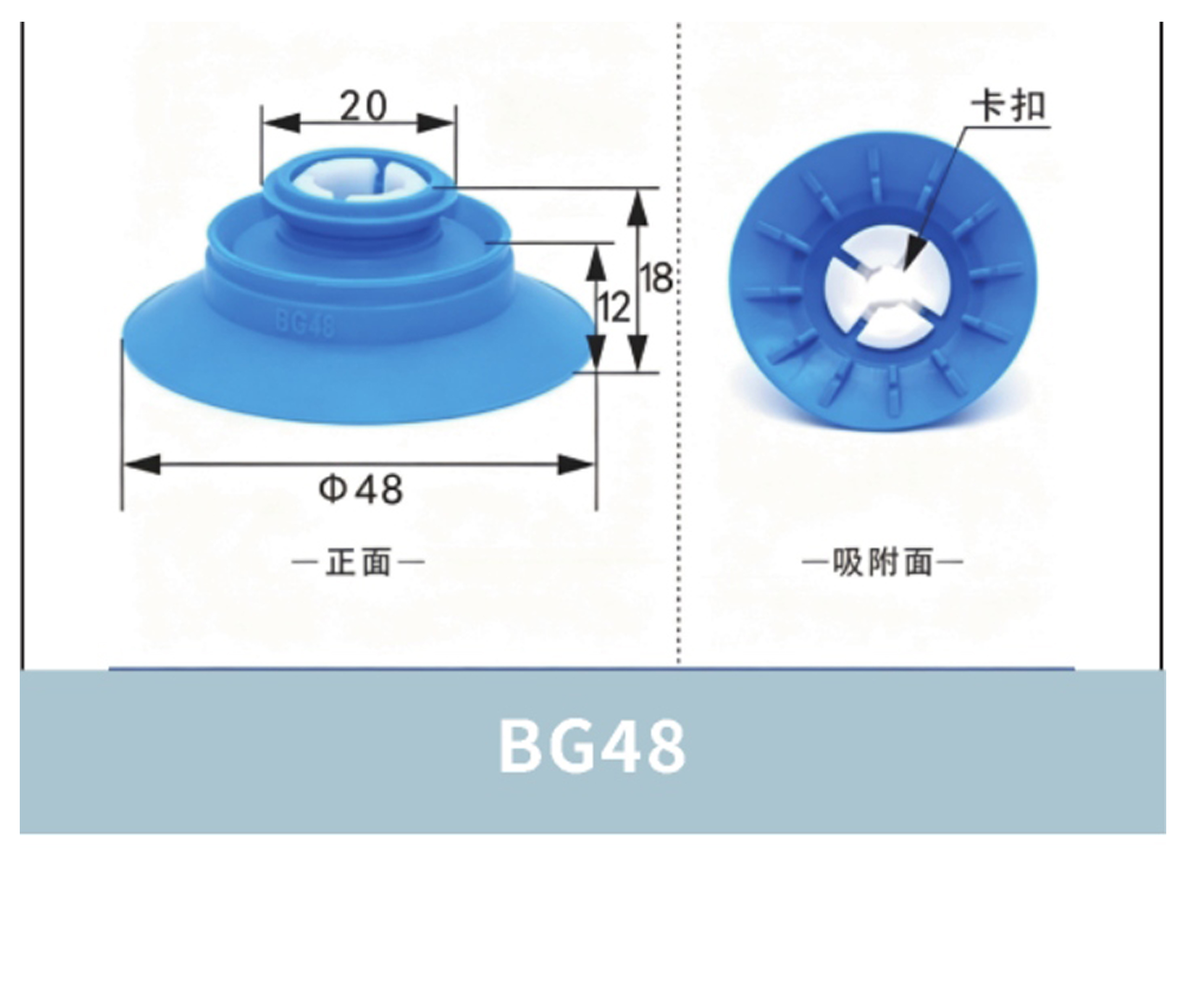 BG48 Cup Lip Only | clean product image