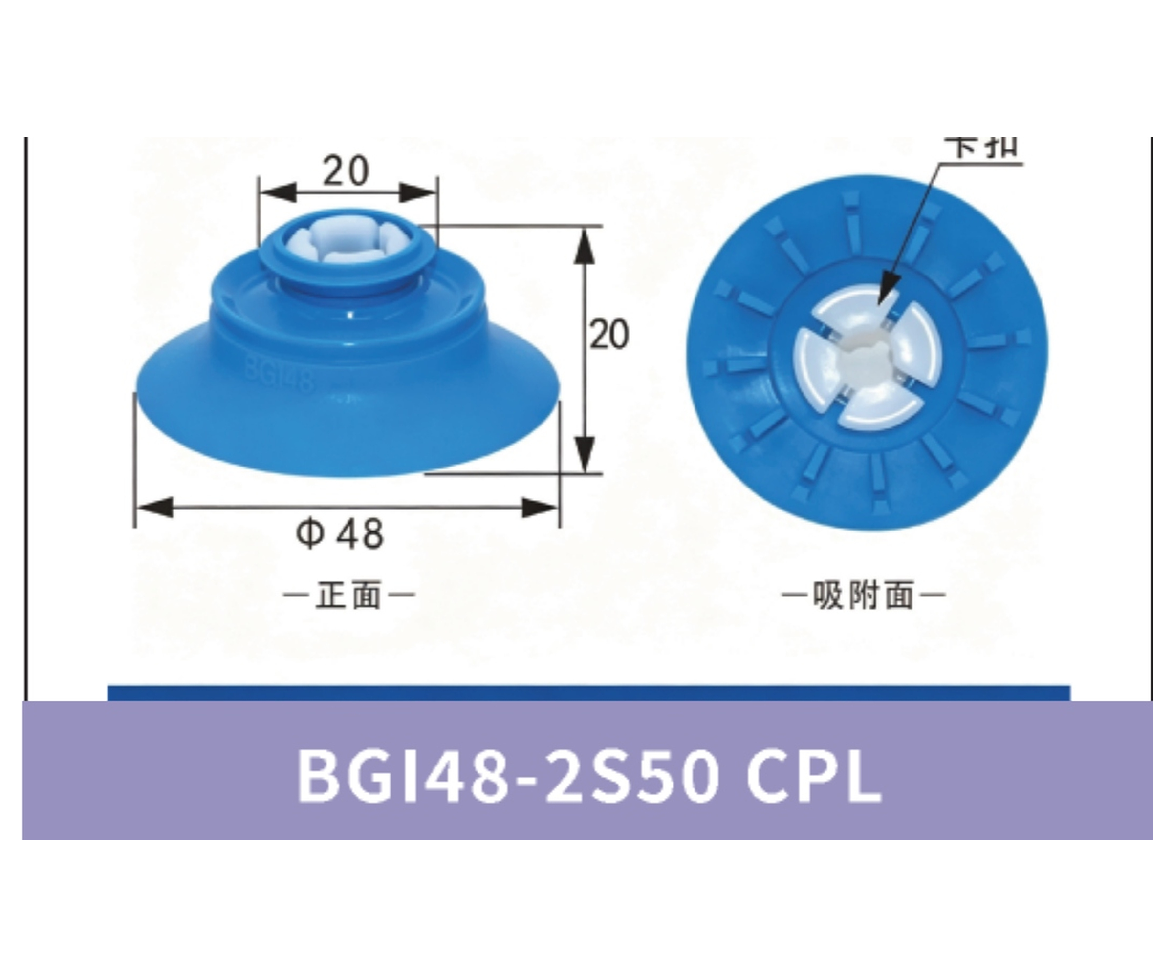 BGI48-2S50 CPL. Cup Lip Only | 4942379957296 | cleaned product image