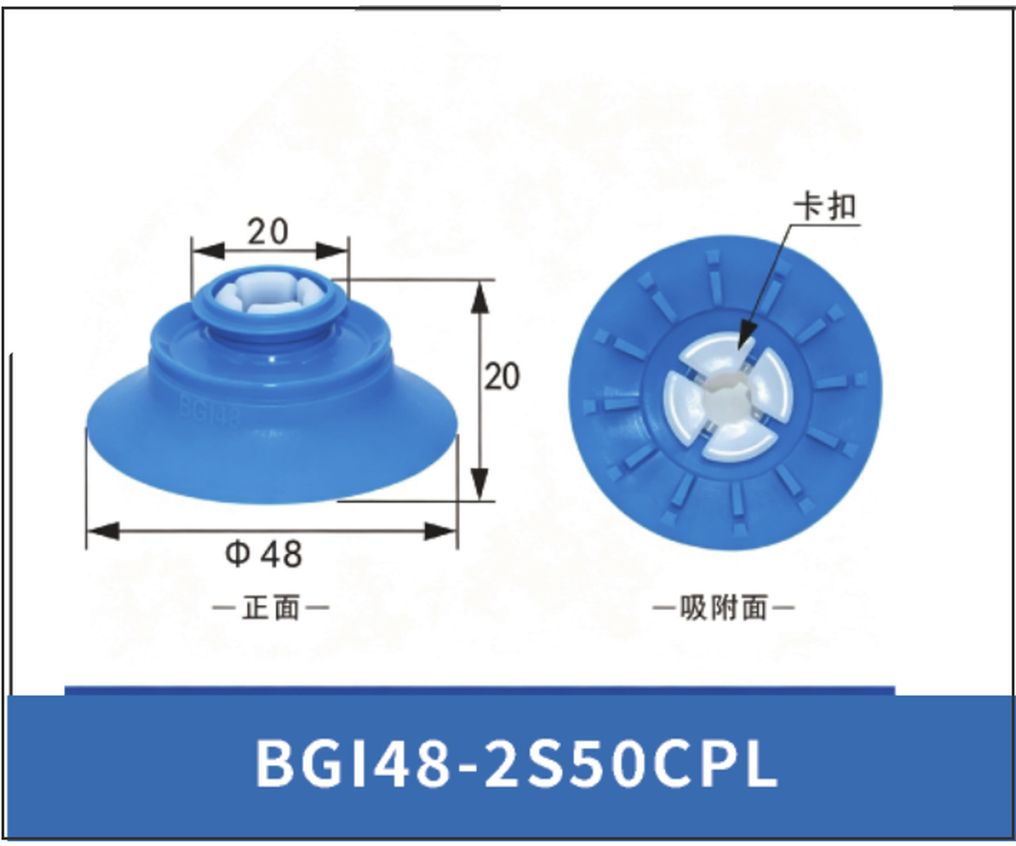 BGI48-2S50CPL. Cup Lip Only | 5099603367743 | clean PDF product card
