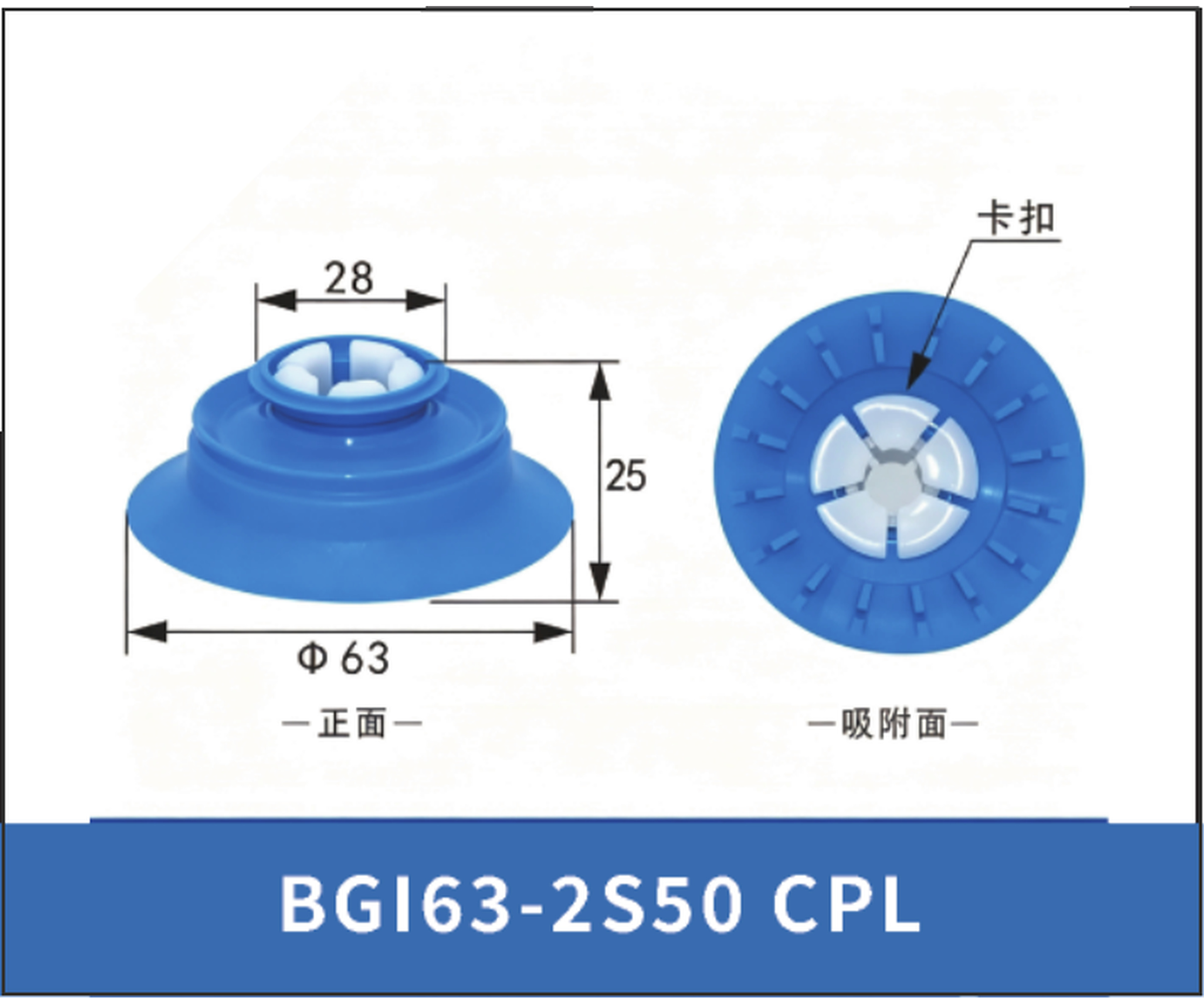 BGI63-2S50 CPL. Cup Lip Only | 5099603367744 | clean PDF product card
