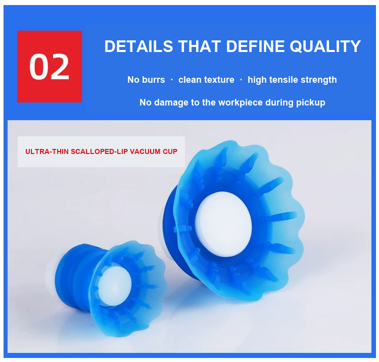 BOLTTE scalloped-lip vacuum cup quality details