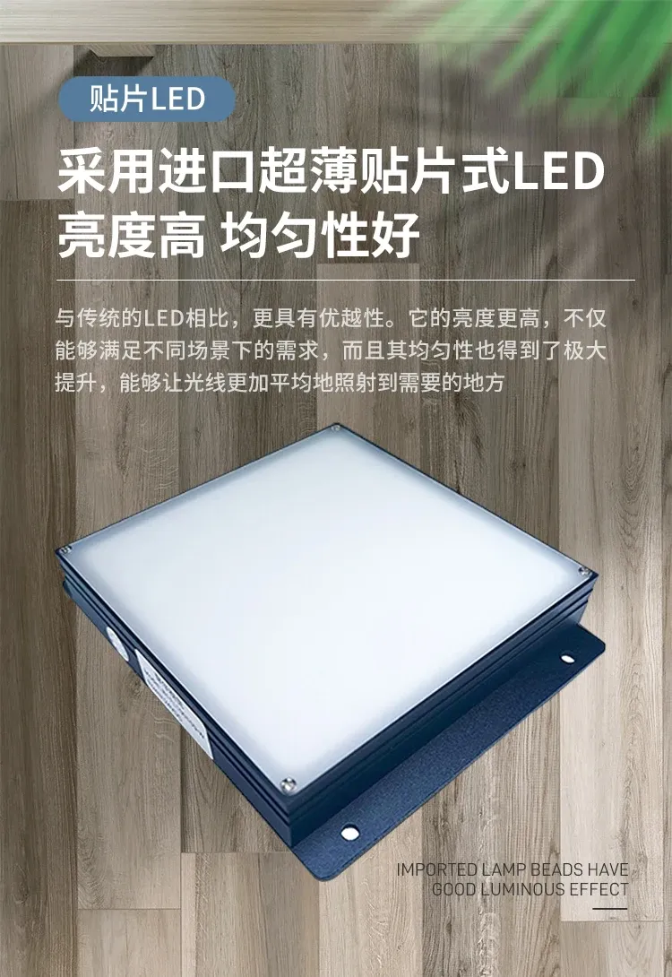 Vision CCD Industrial LED Backlight, Microscope Light Source-BOLTTE