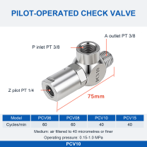 PCV10