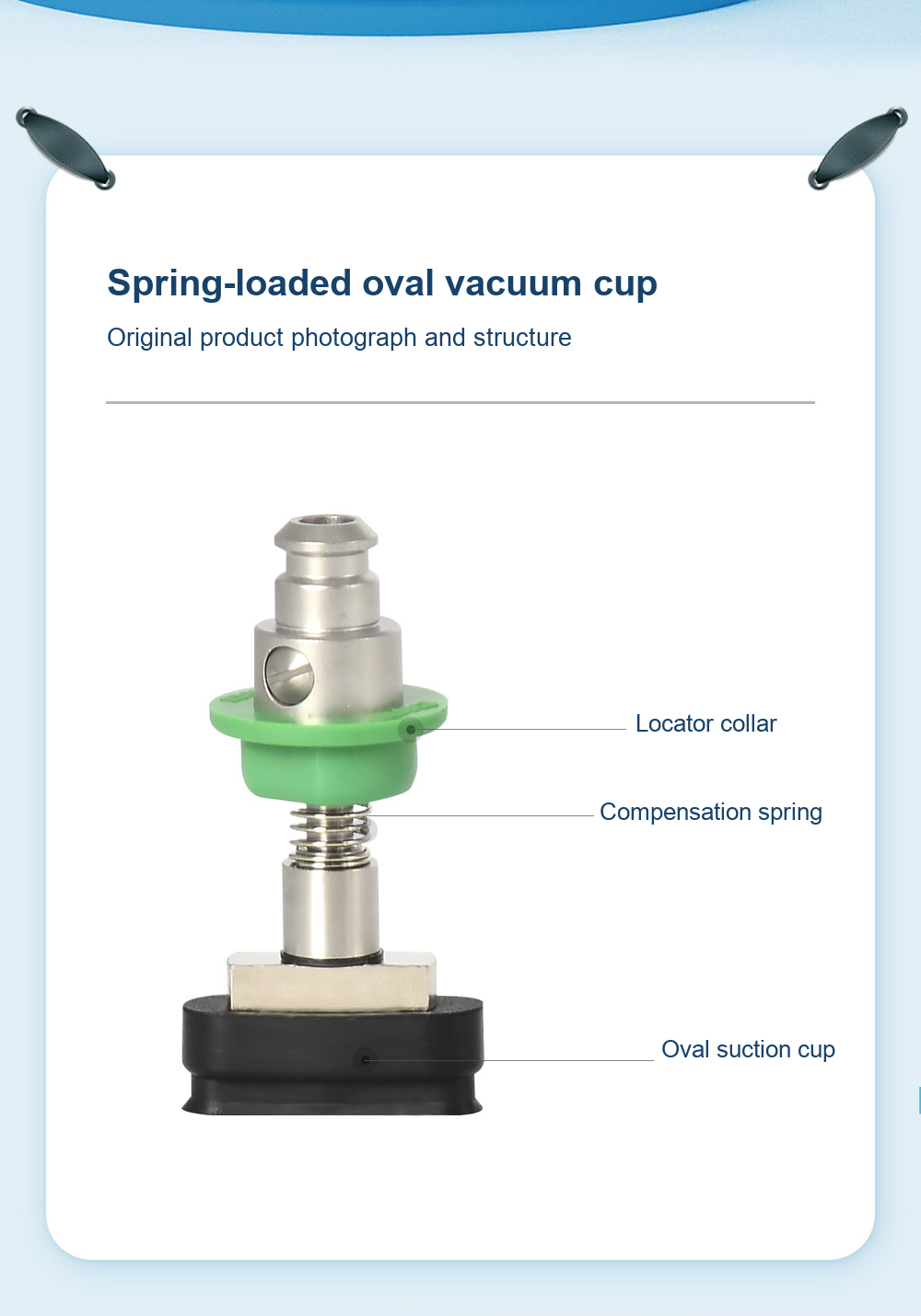 structure - SMT oval vacuum cup original photographs and dimensions