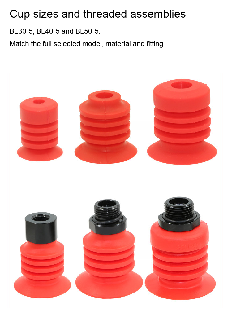 detail 02 BL cup product specifications and reference