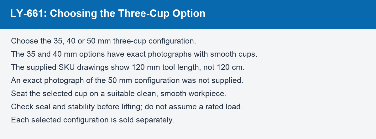 LY-661: Choosing the Three-Cup Option - detail-guide.png