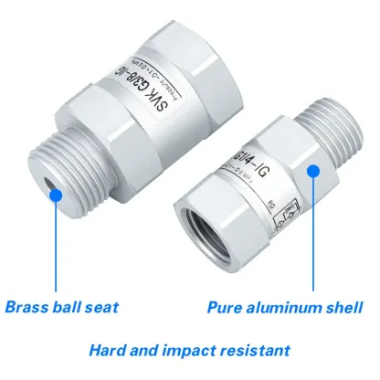 Vacuum logic valve SVKG safety valve check valve SVK-G1/8xG1/4/G3/8xG1/2-IG-AG suction cup-BOLTTE