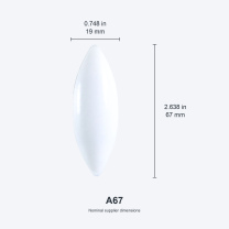 A67 / 19x67 mm (0.748x2.638 in) real photograph with nominal mm and inch dimensions