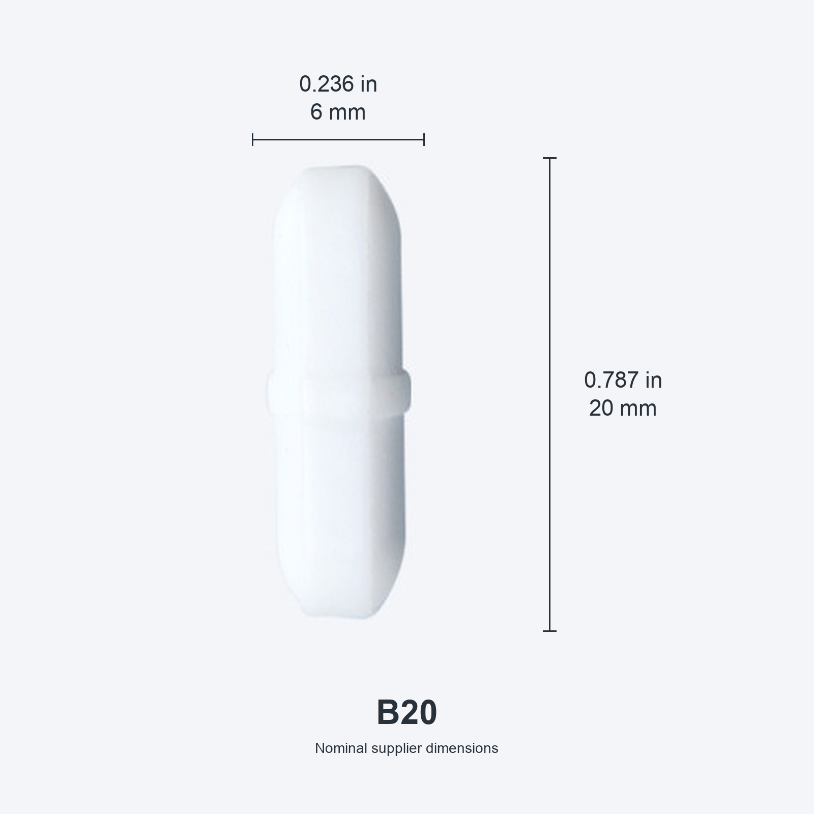 B20 / 6x20 mm (0.236x0.787 in) real photograph with nominal mm and inch dimensions